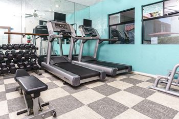 A gym with cardio equipment and weights on the wall